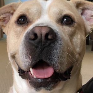 Meet your Posher, Ingrid